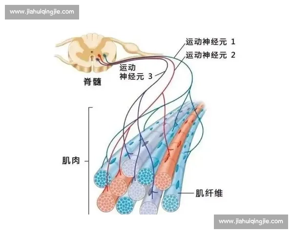 体育科学体系视角下运动训练与人体机能优化研究